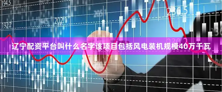 辽宁配资平台叫什么名字该项目包括风电装机规模40万千瓦